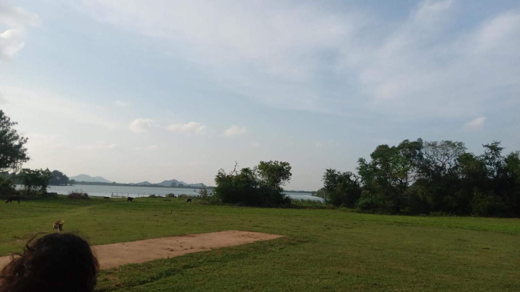 The King'S Garden Resort Dambulla Exterior photo